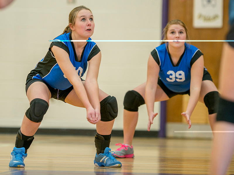 Volleyball Players